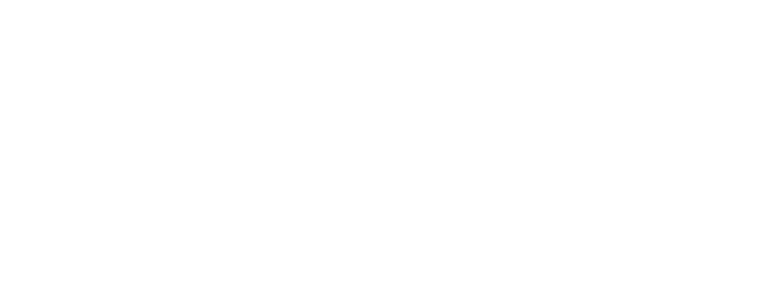 JANUS ENERGY